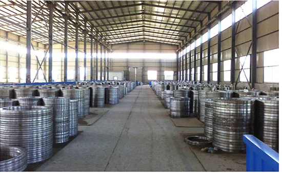 Carbon Steel Weld Neck Flange Pn16, Black Painted for Enhanced Durability