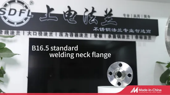 ANSI B16.5 Stainless Steel 304 304L 316 316L Forging Duct Weld Neck Flange Pipe Fittings Manufacturer 