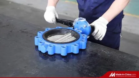 Ductile Cast Iron Stainless Steel Seat Water Wafer Lug Type Double Flange Wafer Lug Butterfly Valve Suppliers 