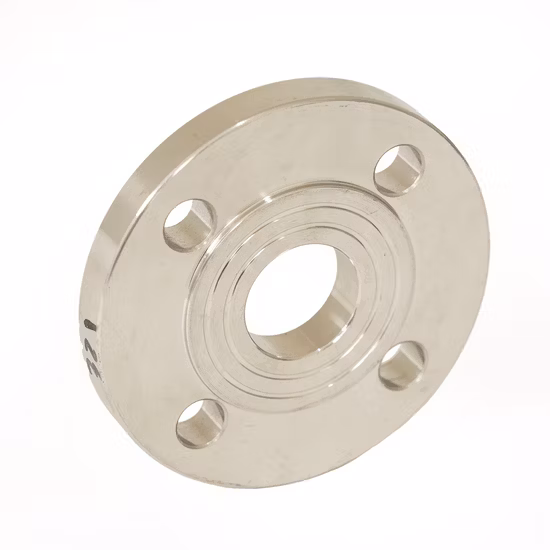 Flange ANSI DIN 304 Stainless Steel Industrial Standard 12 Inch Pipe Flange