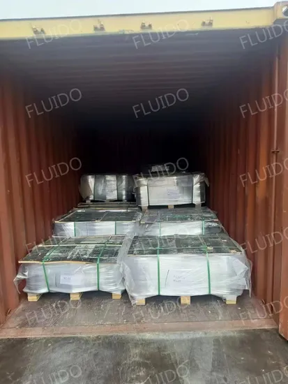 Carbon Steel /Stainless Steel Flange Pipe Fitting with DN150 4 Inch Pn10 RF/FF 