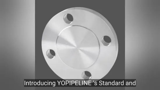 ANSI B16.5/DIN/GOST/ Carbon/Stainless Steel Pn10/16 Forging/Weld Neck/Threaded/Blind/Slip on/ Plate/Socket/ Orifice RF/FF Butt Welding Pipe Fitting Steel Flange 