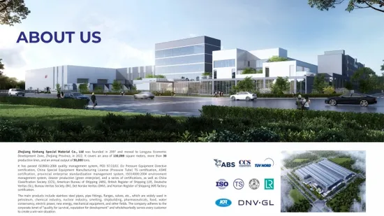 High Strength 304 316 Pipe Inox Stainless Steel Tube for Heat Exchanger 